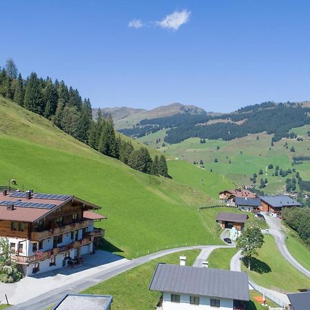 Апартаменти Landhaus Hinterglemm Зальбах-Гінтерглемм Екстер'єр фото
