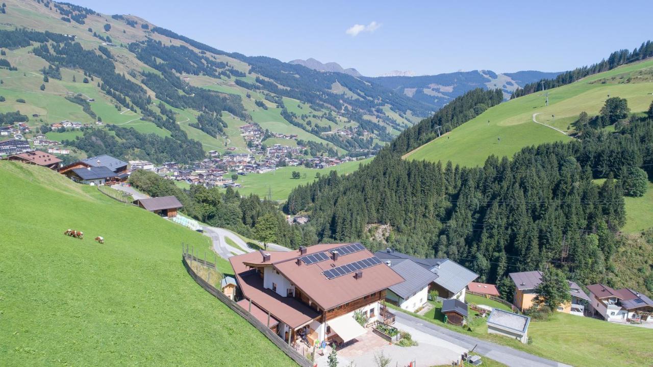 Апартаменти Landhaus Hinterglemm Зальбах-Гінтерглемм Екстер'єр фото